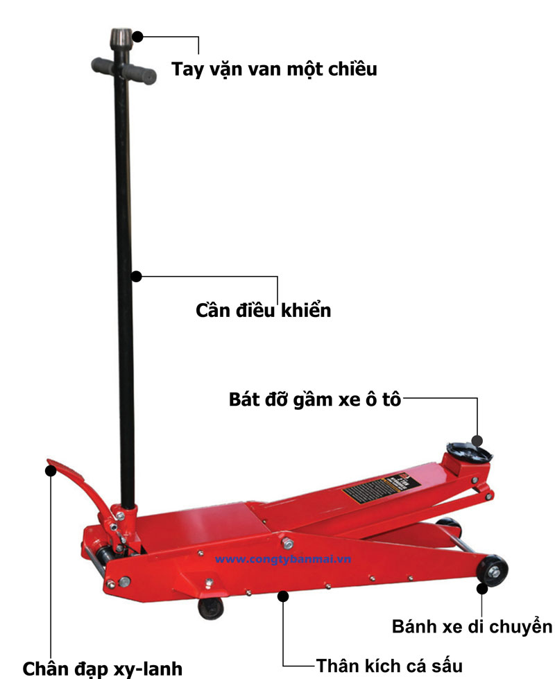 Kích cá sấu 5 tấn thân dài