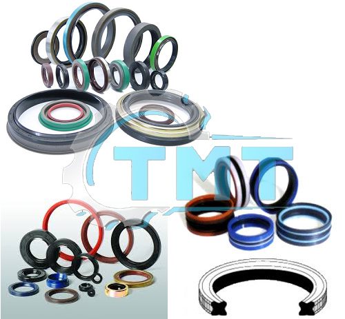 Dịch Vụ Thay Phớt Cầu Nâng Ô Tô 1 Khi nào thì cần Dịch Vụ Thay Phớt Cầu Nâng Ô Tô ?
