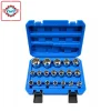 Bộ Khẩu Hoa Thị 19 Chi Tiết|TMTC 1 Bộ khẩu hoa thị 19 chi tiết